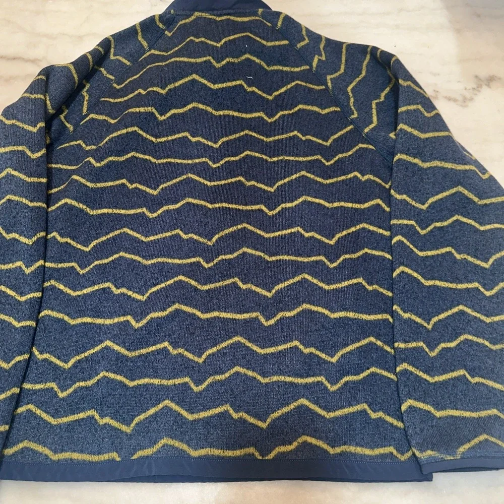 The North‎ Face Men's Novelty Gordon Lions 1/4 Zip Pull Over Size M Blue